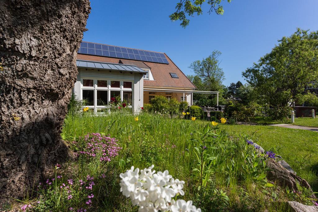 Hotel Alt Wittower Krug Wiek auf Rügen Eksteriør billede