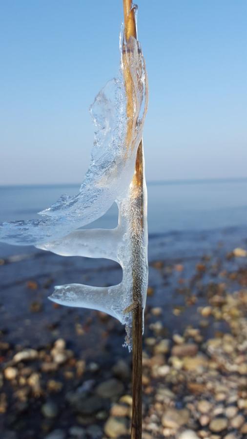 Hotel Alt Wittower Krug Wiek auf Rügen Eksteriør billede