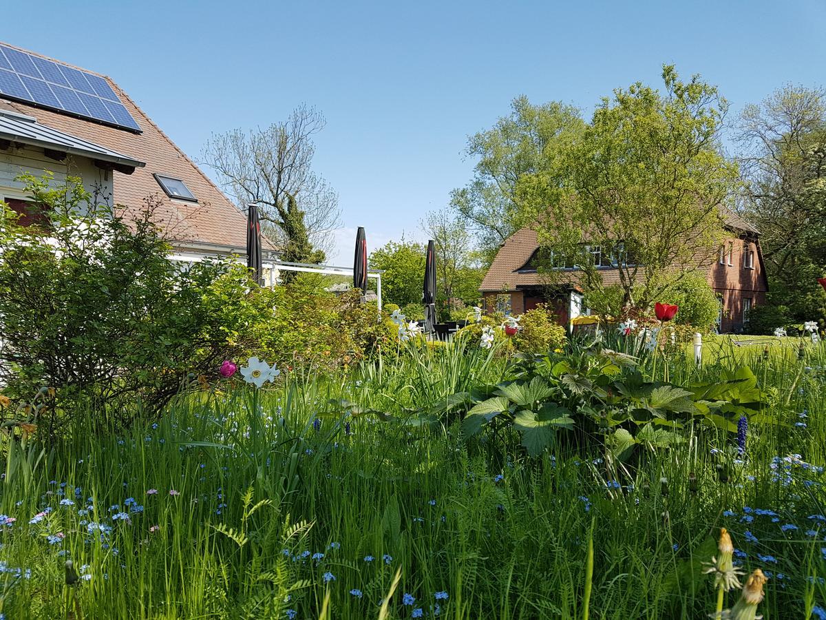 Hotel Alt Wittower Krug Wiek auf Rügen Eksteriør billede